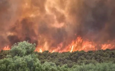 مصرع شخصين وإخلاء عدة قرى في اليونان جراء اشتعال حريق غابات
