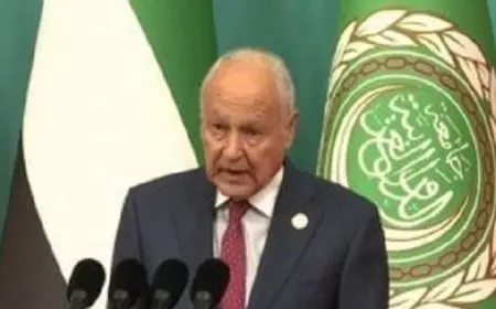 أبوالغيط يدعو المجتمع الدولي للوقوف إلى جوار لبنان