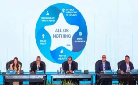 المالية: “زيادة مساهمة القطاع الخاص” يتصدر أولويات الإصلاح الاقتصادي خلال المرحلة المقبلة