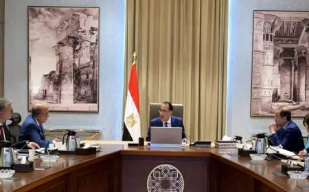 رئيس الوزراء يتابع جهود توفير المواد البترولية اللازمة لتشغيل محطات الكهرباء
