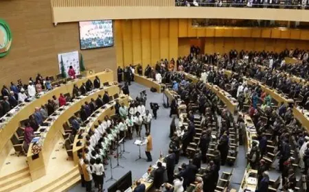 مصر تتولى رئاسة مجلس السلم والأمن الإفريقي اليوم