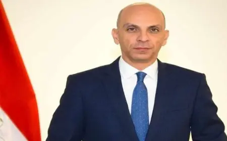 متحدث الخارجية يكشف عن برنامج مصر خلال فترة ترأس مجلس الأمن الأفريقي