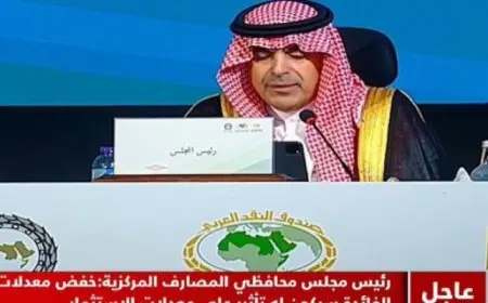 رئيس مجلس محافظى المصارف المركزية : خفض معدلات الفائدة سيؤثر على معدلات الاستثمار