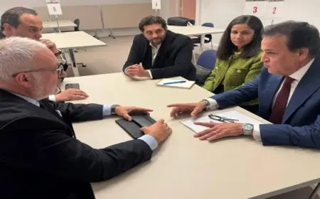 بال .. وزير الصحة والسكان يلتقي رئيس معهد جوستاف روسي الفرنسي لعلاج الأورام