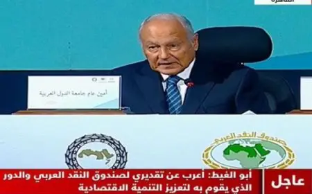 أبو الغيط : صندوق النقد العربي شريك مهم لحكومات المنطقة في تعزيز الاستقرار والتطوير الاقتصادي