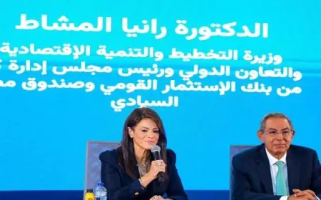 المشاط: الحكومة تعمل على تعظيم الاستفادة من الأصول المملوكة للدولة وجذب الاستثمارات