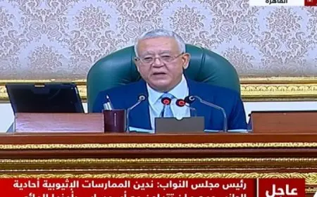 مجلس النواب : إحالة مشروع قانون الإجراءات الجنائية وتعديل قانون صندوق مصر السيادي للجان المختصة