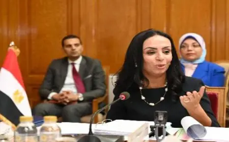 وزيرة التضامن تؤكد ضرورة التحرك لتدارك الأوضاع الاجتماعية والإنسانية بفلسطين ولبنان