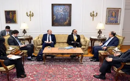 وزير الخارجية: مصر تركز على تنمية العنصر البشري في مجال التحول الرقمي