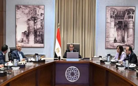 بال .. رئيس الوزراء يستعرض مع مسئولي “ستيلانتيس للسيارات” مقترحاتهم حول التوسعات المستقبلية للشركة