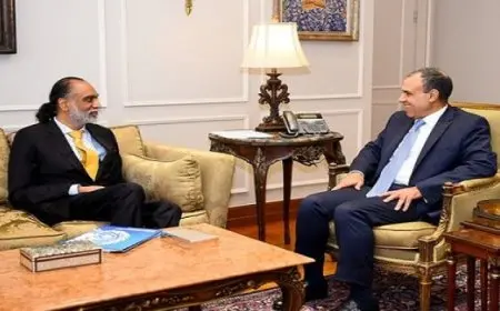 وزير الخارجية والهجرة يستقبل المدير التنفيذي للغرفة الألمانية العربية للصناعة والتجارة