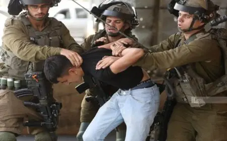قوات الاحتلال الإسرائيلي تعتقل 12 فلسطينيا على الأقل من الضفة الغربية