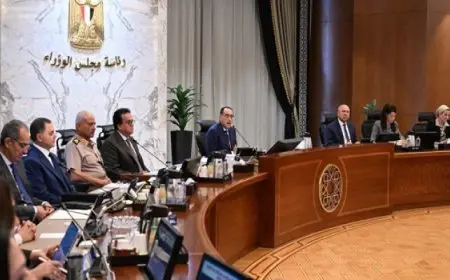 مجلس الوزراء يوافق على السعر الاسترشادي لأردب القمح ليبلغ 2200 جنيه لموسم 2024 – 2025