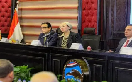 وزيرة البيئة: افتتاح أول مصنع لتدوير مخلفات قش الأرز بالبحيرة قريبًا