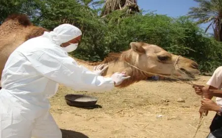 الصحة العالمية تحذر من انتشار متلازمة الشرق الأوسط التنفسية بوصفها عدوى فيروسية