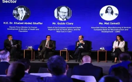 وزير الصحة يستعرض مع مستثمري السويد الإنجازات في القطاع الصحي