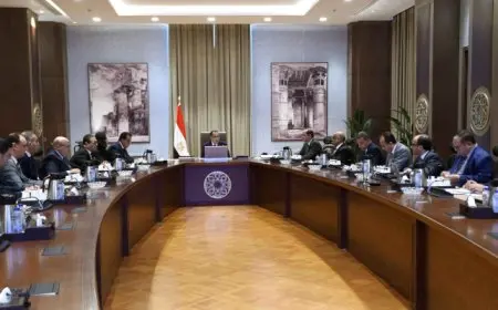 رئيس الوزراء يتابع إجراءات حوكمة استيراد سيارات ذوي الهمم