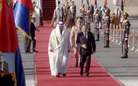 الرئيس السيسي يستقبل رئيس الإمارات الشيخ محمد بن زايد