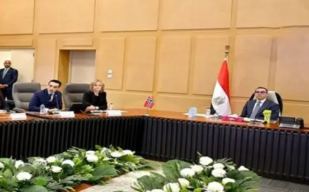 وزير الاستثمار والتجارة الخارجية يستقبل سفيرة النرويج بالقاهرة ووفد شركة سكاتك للطاقة المتجددة.