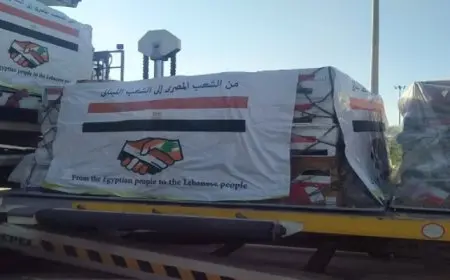 بال وال.. رحلة استثنائية لإعادة المصريين العالقين في لبنان وتقديم مساعدات طبية وإغاثية