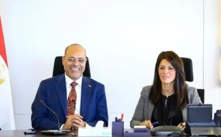 وزيرة التخطيط خلال اجتماع مع وزير العمل: التوظيف أهم المحاور في مسار بناء الإنسان والتنمية