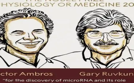 الأكاديمية السويدية: منح عالمين أمريكيين جائزة نوبل في الطب لعام 2024