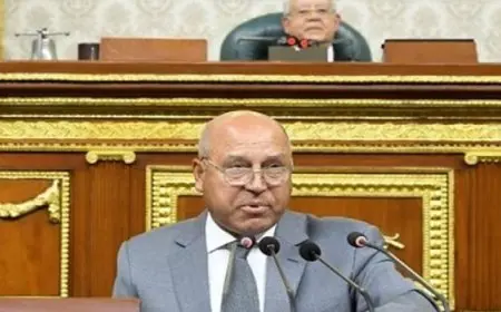 نائب رئيس الوزراء للتنمية الصناعية يستعرض أمام “النواب” خطط تعميق التصنيع المحلى وتعزيز الشراكة مع القطاع الخاص