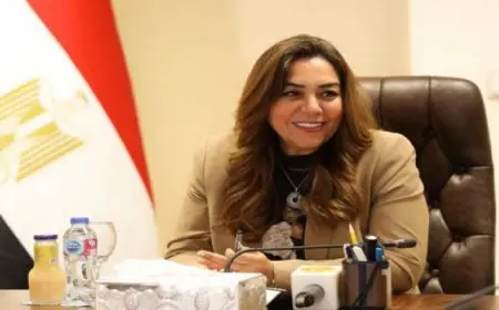 التنمية المحلية: تنمية سيناء محور رئيسي في برنامج الحكومة