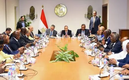 وزير الخارجية يبحث مع السفراء الأفارقة التطورات في السودان والصومال وليبيا والسد الإثيوبي