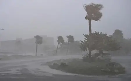 إعصار ميلتون “المميت” يضرب اليابسة في ولاية فلوريدا الأمريكية