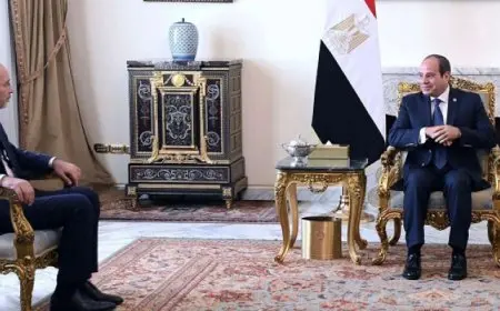 الرئيس السيسي يبحث مع وزير خارجية الأردن الجهود الرامية للتهدئة بالمنطقة