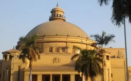 بإدراج 35 جامعة .. الجامعات المصرية تحقق إنجازُا جديدًا في النسخة العامة لتصنيف التايمز HE العالمي
