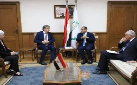 التنظيم والإدارة والبرنامج الانمائي للأمم المتحدة يبحثان مجالات التعاون المشترك