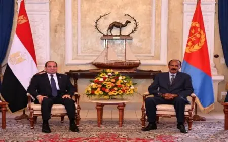 الرئيسان السيسي وأفورقي يبحثان العلاقات الثنائية والأوضاع الإقليمية