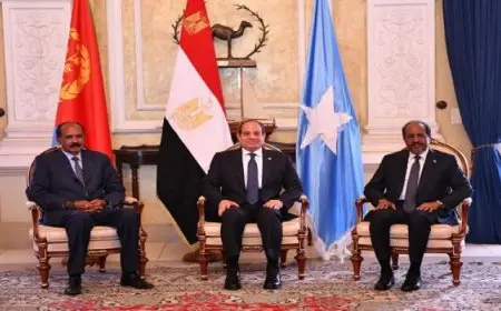 اتفاق مصري إريتري صومالي على التعاون الاستراتيجي في كافة المجالات
