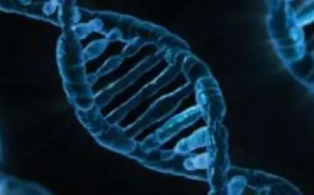 فيتامين ك يقوى عظامك ويحافظ على صحة قلبك