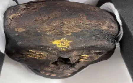 استرداد ثلاث قطع أثرية من ألمانيا وتسليمها للسفارة المصرية ببرلين