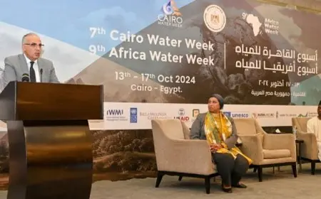 سويلم يرأس إجتماع اللجنة الإستشارية الفنية لمجلس وزراء المياه الأفارقة (الأمكاو)