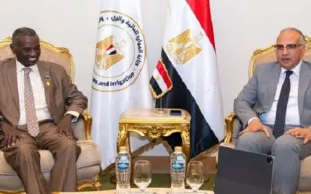وزير الري يؤكد حرص مصر على مواصلة التعاون مع السودان في كافة المجالات