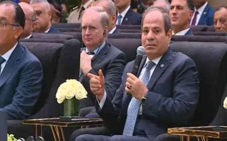 السيسي: الدولة لم تملك خيارا سوى تطوير منظومة النقل والسكك الحديدية