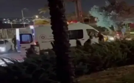 الجيش الإسرائيلي يعلن اعتراض مسيرتين قادمتين من سوريا