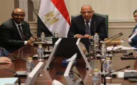 اتفاقية بين مصر وجيبوتي بشأن توريد وتركيب محطة لتوليد الكهرباء بواسطة نظم الخلايا الفوتوفلطية