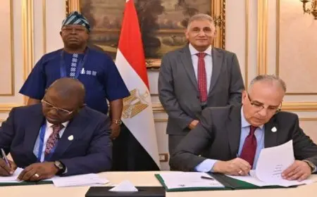 مصر ونيجيريا توقعان مذكرة تفاهم للتعاون في مجال إدارة الموارد المائية