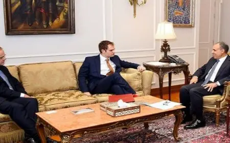 وزير الخارجية يشدد على ضرورة الوقف الفوري لإطلاق النار في غزة والنفاذ غير المشروط للمساعدات الإنسانية والإغاثية