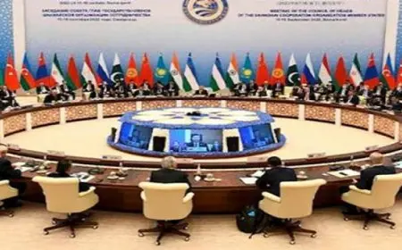 رئيسا وزراء أوزبكستان وروسيا يصلان إلى إسلام آباد للمشاركة في قمة منظمة شنغهاي للتعاون