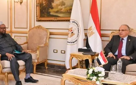 وزير الرى يبحث تعزيز التعاون الثنائي مع نائب وزير للطاقة الصومالى