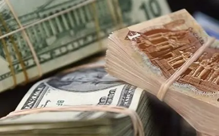 الدولار يتراجع أمام الجنيه خلال تعاملات البنوك المصرية اليوم