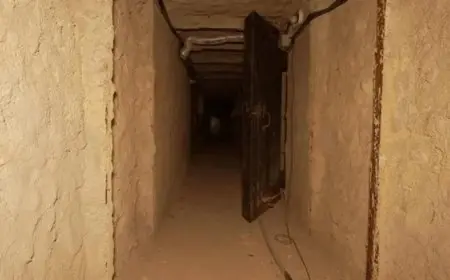 القوات الإسرائيلية تعلن أسر 4 من عناصر حزب الله بينهم قائد من قوة الرضوان