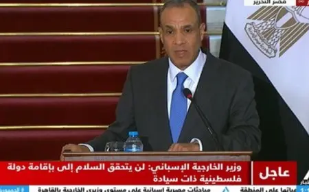 وزير الخارجية: مصر تقدر دور إسبانيا والشركات الإسبانية في دعم عملية التنمية