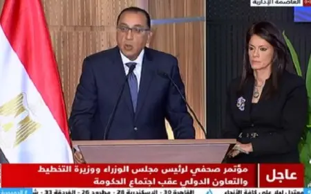 المشاط تستعرض أبرز مؤشرات أداء الاقتصاد المصري الفترة الحالية